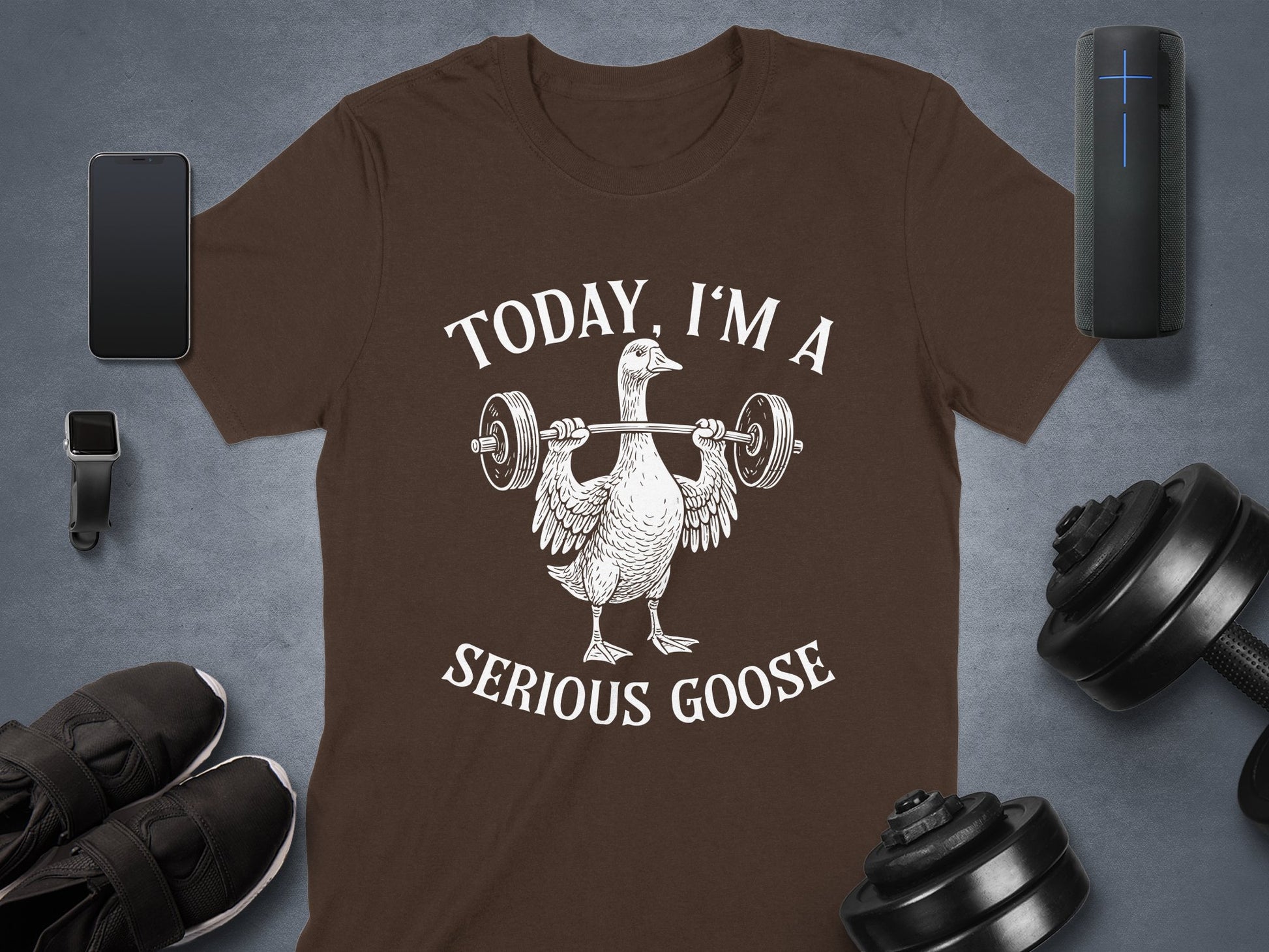 Today I'm A Serious Goose Graphic Tee product